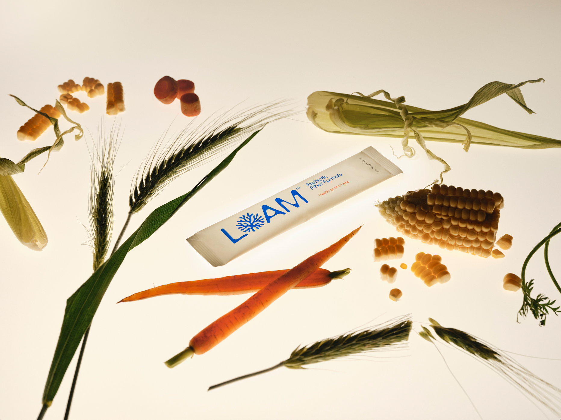 LOAM prebiotic sachet surrounded by plant ingredients