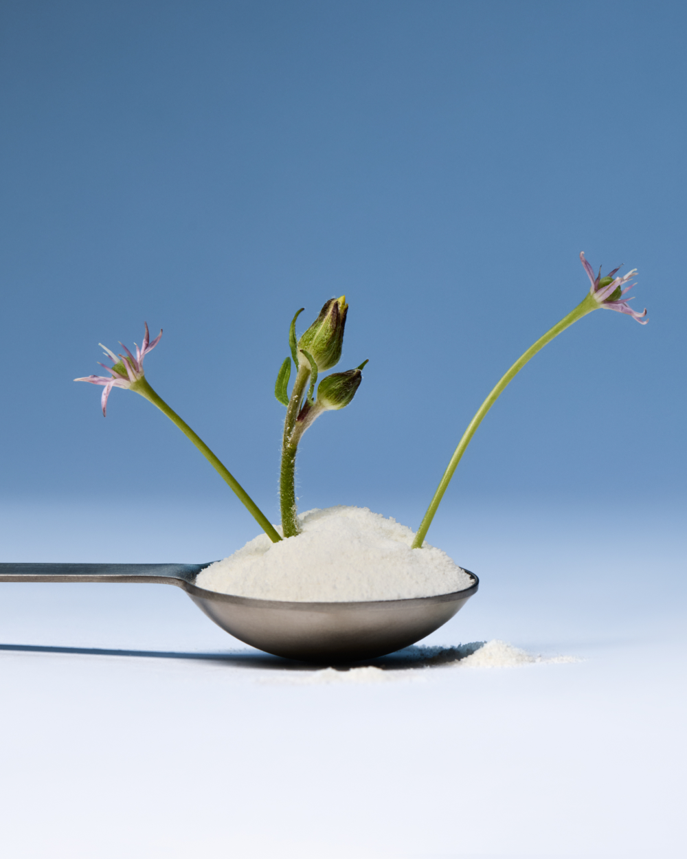 Wheat-Free LOAM prebiotic fiber formula with plant ingredients